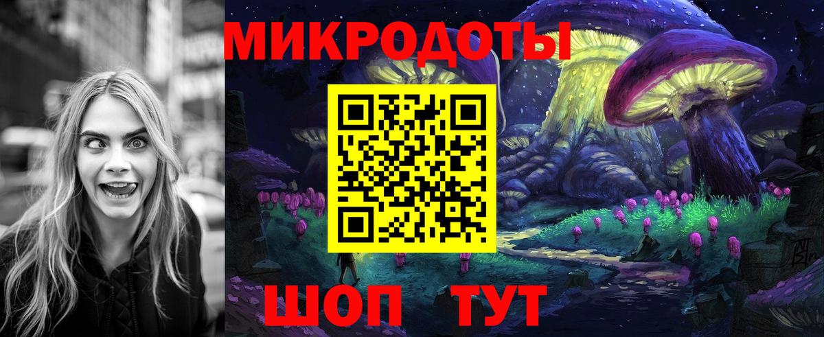 Куйбышев  Псилоцибиновые грибы Cubensis  Вход с VPN 